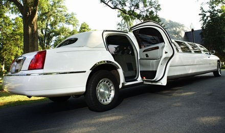 Limo Employ Business